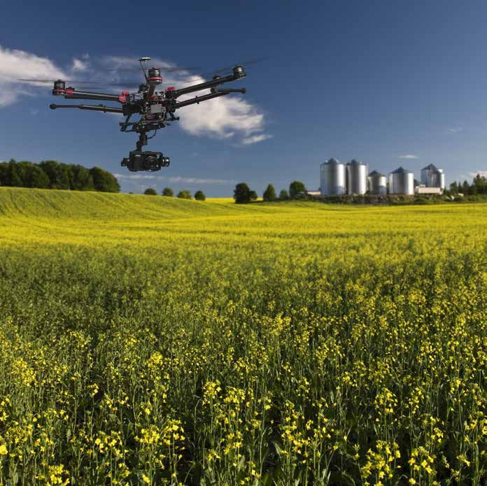 A drone hovers above the yellow plants of a large canola field. There are silver silos in the distance and a clear blue sky overhead.